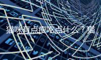 貓咪有點瘦吃點什么？貓咪有點瘦是怎么回事