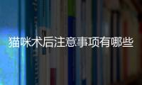 貓咪術后注意事項有哪些？貓咪術后注意事項及飲水量