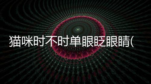 貓咪時不時單眼眨眼睛(貓咪為什么單眼眨眼睛)