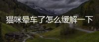 貓咪暈車了怎么緩解一下？貓咪暈車了怎么緩解癥狀