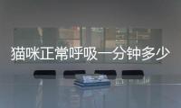 貓咪正常呼吸一分鐘多少次，貓咪正常呼吸動圖