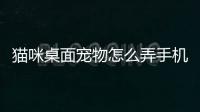 貓咪桌面寵物怎么弄手機(jī)的？貓貓桌面寵物