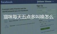 貓咪每天五點多叫喚怎么回事？貓咪每天五點多叫喚正常嗎