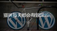 貓咪每天都會有眼屎嗎(貓咪為什么每天都有眼屎)