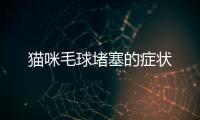 貓咪毛球堵塞的癥狀