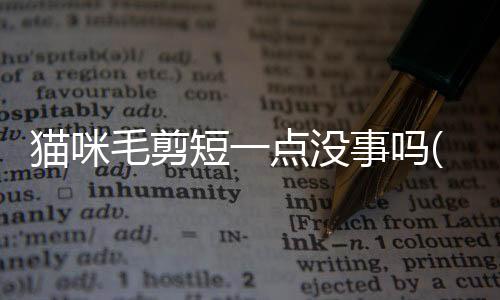 貓咪毛剪短一點沒事嗎(貓咪毛剪短了,需要穿衣服嗎)
