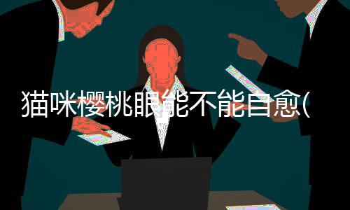 貓咪櫻桃眼能不能自愈(貓咪櫻桃眼傳染嗎)
