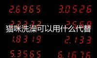 貓咪洗澡可以用什么代替？貓咪洗澡可以用什么精油