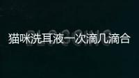 貓咪洗耳液一次滴幾滴合適？貓咪洗耳液一次滴多少