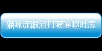 貓咪流眼淚打噴嚏嘔吐怎么回事(貓咪流眼淚打噴嚏吃什么藥)