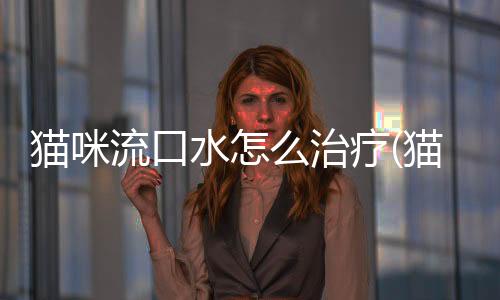 貓咪流口水怎么治療(貓咪流口水治療多少錢)