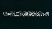 貓咪流口水很臭怎么辦??？貓咪流口水還很臭