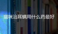 貓咪治耳螨用什么藥最好(貓咪耳螨要治療多久)