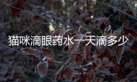 貓咪滴眼藥水一天滴多少次(貓咪滴眼藥水怎么滴)