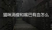 貓咪消瘦和嘴巴有血怎么回事？貓咪嘴出血什么原因