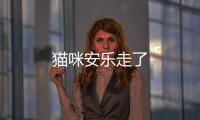 貓咪安樂走了