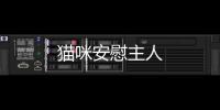 貓咪安慰主人
