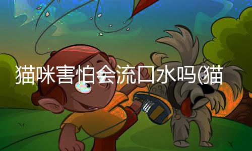貓咪害怕會流口水嗎(貓咪害怕洗澡怎么辦)