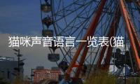 貓咪聲音語言一覽表(貓咪聲音語言有哪些)
