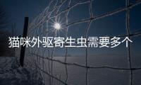 貓咪外驅寄生蟲需要多個部位涂么(貓咪外驅藥哪個牌子性價比高)
