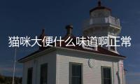 貓咪大便什么味道啊正常？貓咪大便什么味道啊怎么回事