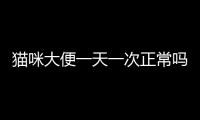 貓咪大便一天一次正常嗎？貓咪大便一天一次算正常嗎