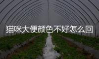 貓咪大便顏色不好怎么回事？貓咪大便顏色不均勻