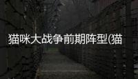 貓咪大戰爭前期陣型(貓咪大戰爭貓咪推薦)
