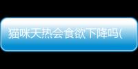 貓咪天熱會食欲下降嗎(貓咪天熱了不愛吃飯怎么辦)