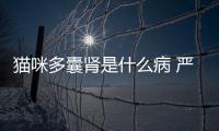 貓咪多囊腎是什么病 嚴(yán)重嗎?好治嗎?(貓多囊腎是什么病 嚴(yán)重嗎)
