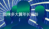 貓咪多大算年長(zhǎng)貓齡  貓咪多大算年長(zhǎng)貓毛