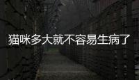 貓咪多大就不容易生病了(泰迪多大不容易感冒)