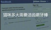 貓咪多大需要潔齒磨牙棒