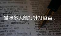貓咪多大能打針打疫苗，貓咪多大能打針啊
