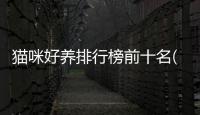 貓咪好養(yǎng)排行榜前十名(貓咪價格排行榜)