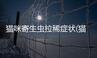 貓咪寄生蟲拉稀癥狀(貓咪寄生蟲拉稀的話吃一般驅蟲藥)