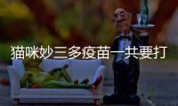 貓咪妙三多疫苗一共要打幾針多少錢？貓咪妙三多疫苗多少錢一針