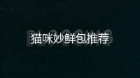 貓咪妙鮮包推薦