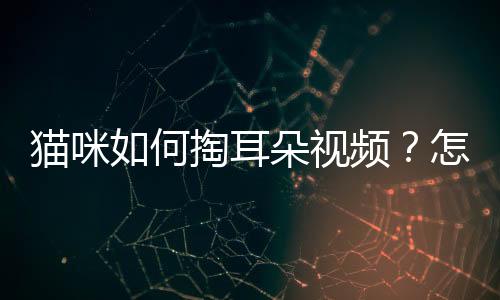 貓咪如何掏耳朵視頻？怎么給貓掏耳朵 才能掏干凈
