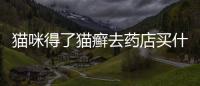 貓咪得了貓癬去藥店買什么藥(檢查貓蘚多少錢一次)