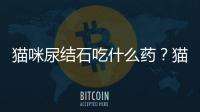 貓咪尿結(jié)石吃什么藥？貓咪尿結(jié)石吃什么貓糧
