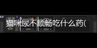 貓咪尿不順暢吃什么藥(貓咪尿不出來在家急救辦法)