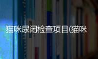 貓咪尿閉檢查項目(貓咪尿閉檢查費用)