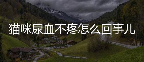 貓咪尿血不疼怎么回事兒？貓咪尿血不疼怎么回事女性