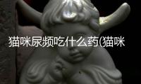 貓咪尿頻吃什么藥(貓咪尿頻是什么原因)