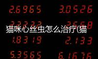 貓咪心絲蟲怎么治療(貓咪感染心絲蟲的癥狀)