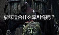 貓咪適合什么牽引繩呢？貓咪適合什么牽引繩好