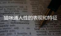 貓咪通人性的表現和特征