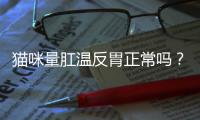 貓咪量肛溫反胃正常嗎？貓 測肛溫