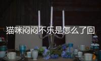 貓咪悶悶不樂是怎么了回事？貓咪悶悶不樂是不是生病了